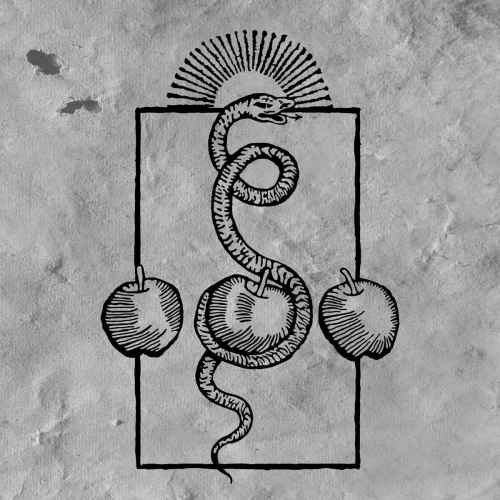 DARVAZA - We Are Him DIGI